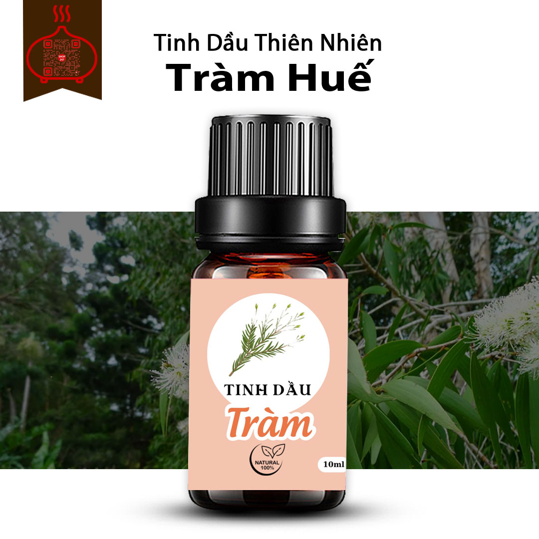 Tinh dầu tràm giá sỉ